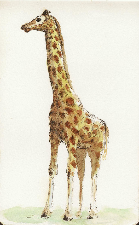 2012-12-06_museum_giraffe.jpg