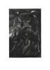 Scan d'une gravure de hibou grand-duc, exécutée avec la technique de la manière noire
