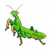 2019-10-05_mantis.png, oct. 2019